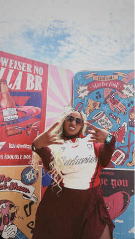 Budweiser-case